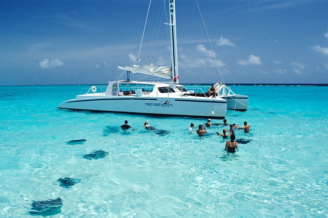 Tourists swimming with sting-rays, Stingray City, Grand Cayman, Cayman Islands, Caribbean, Central America