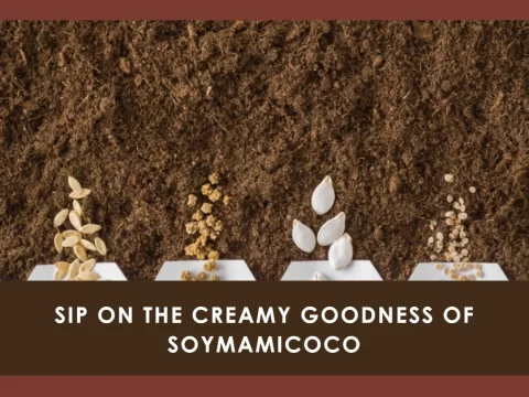 soymamicoco